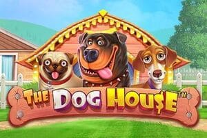 The Dog House